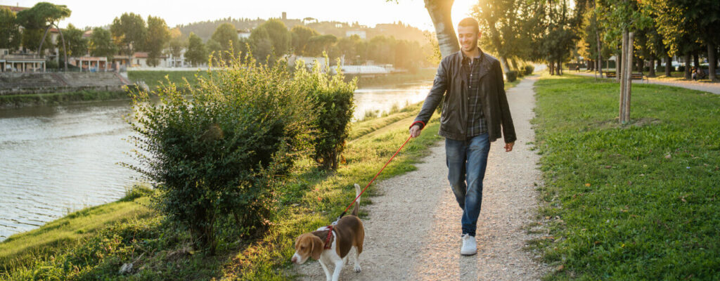 7 Tips To Get More Daily Physical Activity